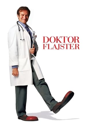 Doktor Flajster (1998)