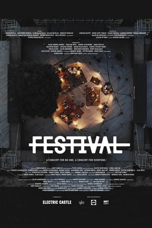 Poster No Festival (2020)