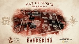 poster Barkskins