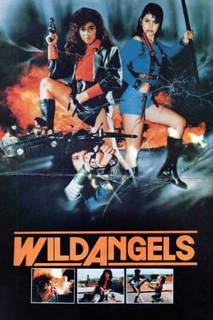 Poster Wild Angels (1989)