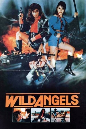 Image Wild Angels