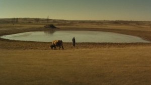 Yify Ana 1982