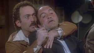 Polizeirevier Hill Street: 4×20