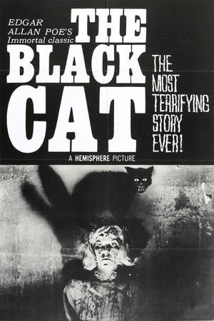 The Black Cat poster