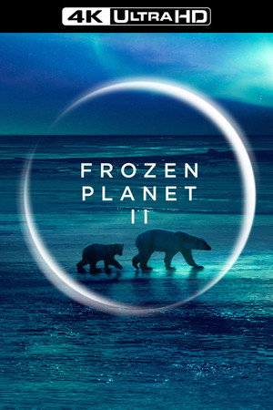Frozen Planet II 20