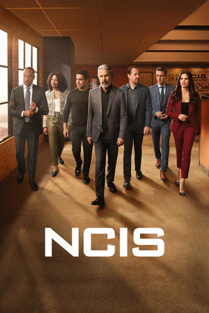 poster NCIS