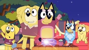 Bluey Season 3 Episode 37