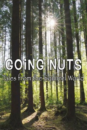 Going Nuts: Tales from the Squirrel World