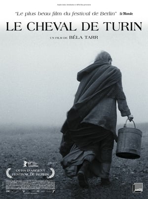 Poster Le Cheval de Turin 2011