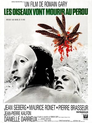 Poster Les oiseaux vont mourir au Pérou 1968