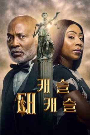 캐슬 대 캐슬