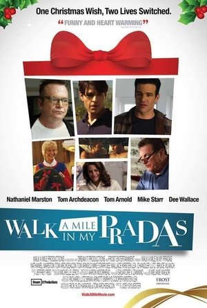 Walk a Mile in My Pradas poster