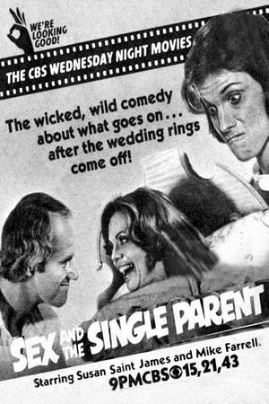 Poster Sex and the Single Parent 1979