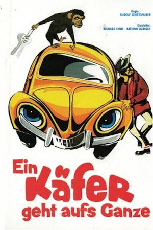 The Love Bug Rally 8