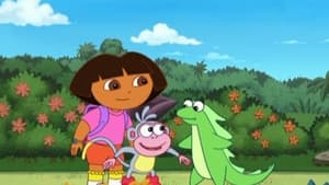 Dora: 4×7