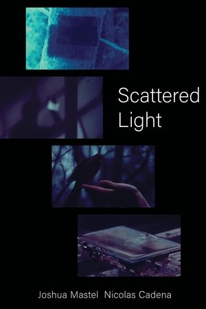 Scattered Light