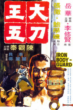 Poster El guardaespaldas de acero 1973