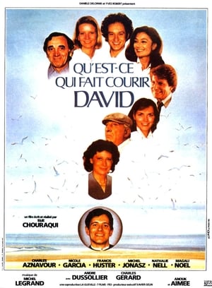 Qu'est-ce qui fait courir David ? poster