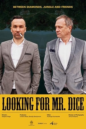 Poster Looking for Mr. Dice (2019)