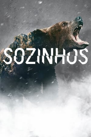 Sozinhos: Temporada 8