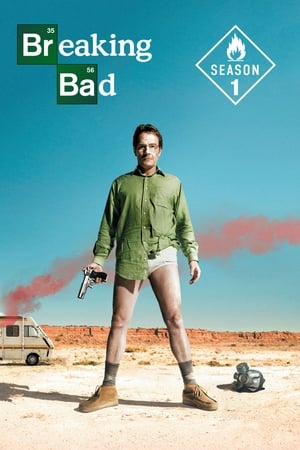 Breaking Bad 2008 Season 1 Hindi + English BluRay 1080p 720p 480p x264 x265 | Full Season