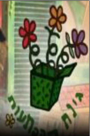 גינת ההפתעות