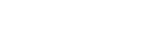 Ảnh 48