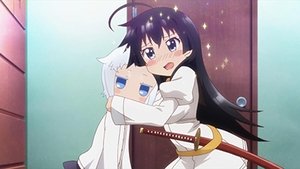 Shomin Sample: 1×3