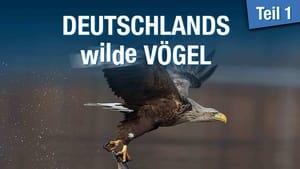 Deutschlands wilde Vögel film complet