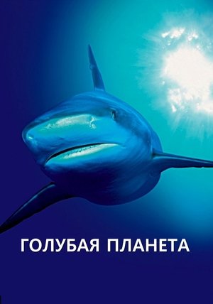 Image Блакитна планета