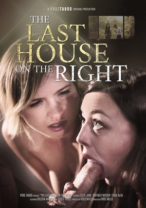Poster The Last House on the Right (2018)