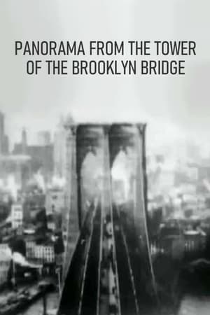 Poster Panorama from the Tower of the Brooklyn Bridge 1899
