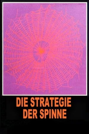 Image Die Strategie der Spinne