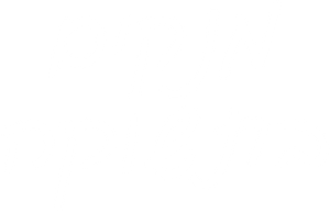 Limpia con pasión — Logos 9
