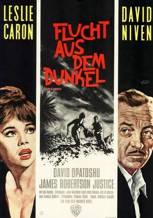 Poster Flucht aus dem Dunkel 1962