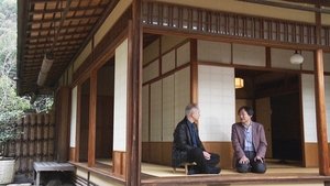 Japanology Plus: 6×5