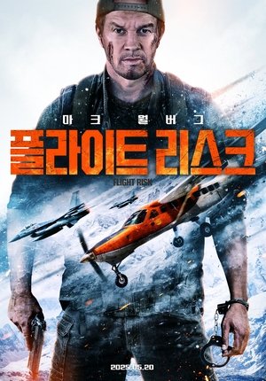 Image 플라이트 리스크