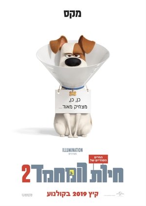 <Images posters