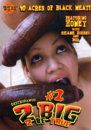 Poster 2 Big 2 Be True 2 (2006)