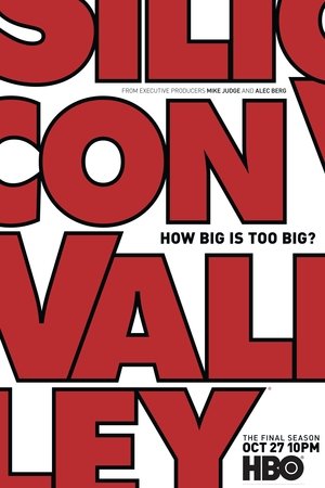 Silicon Valley Season 6