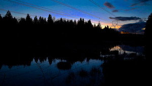 What’s For Dinner?