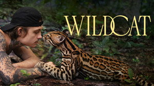 Wildcat