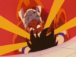 Dragon Ball Season 1 Episode 25