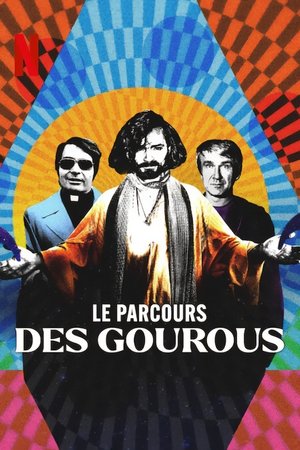 Le parcours des gourous movie poster