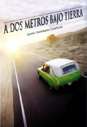 A dos metros bajo tierra: Temporada 5