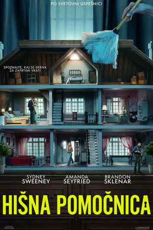 poster The Housemaid