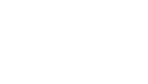 Ayla and The Mirrors — Logos 5