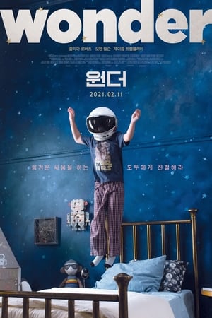 Poster 원더 2017