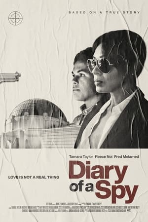 Poster Diary of a Spy (2022)