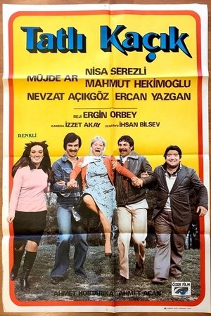 Tatlı Kaçık poster